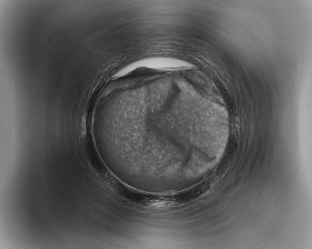 X0000093470504200711091610