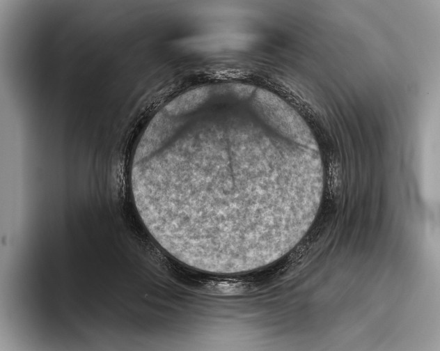 X0000093470506200711091610