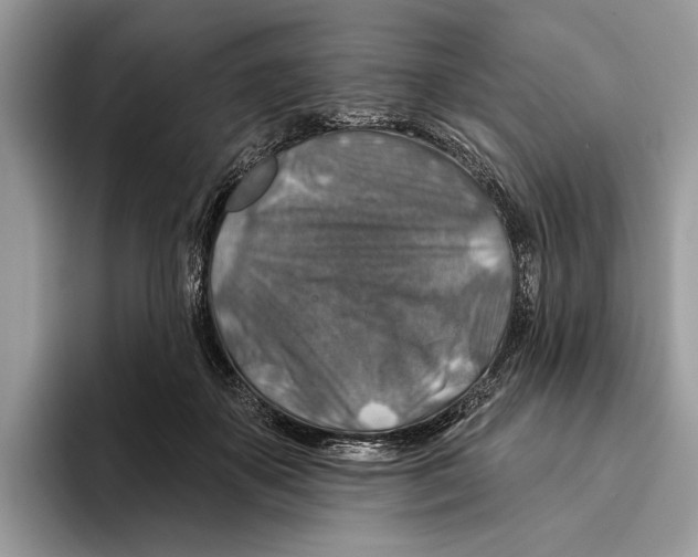 X0000093470507200711091610
