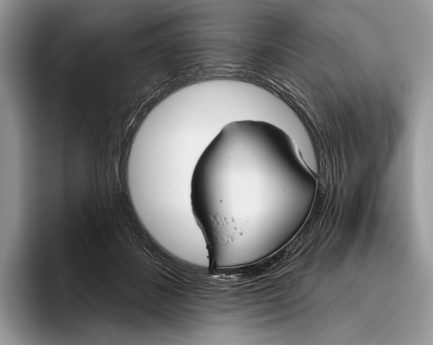 X0000093470508200711091610