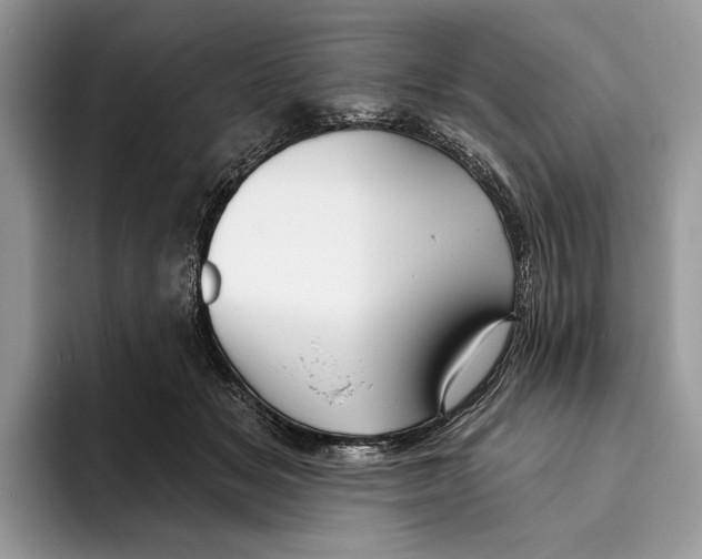 X0000093470509200711091610