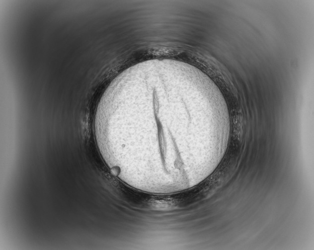 X0000093470510200711091610