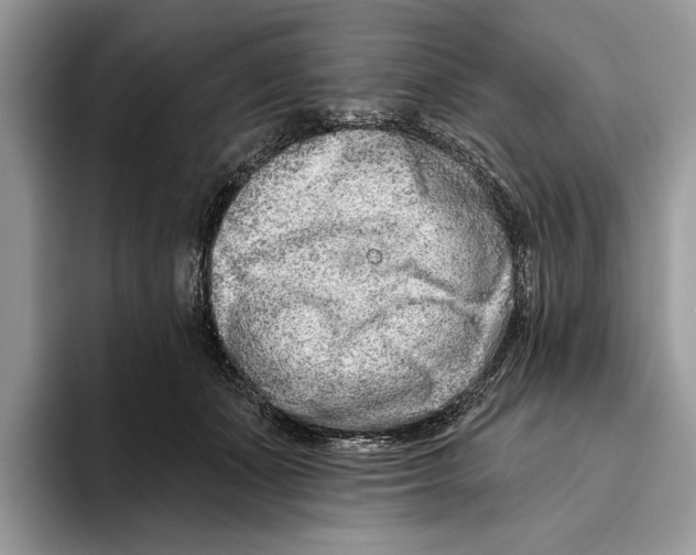 X0000093470511200711091610