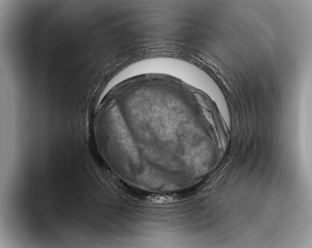 X0000093470512200711091610