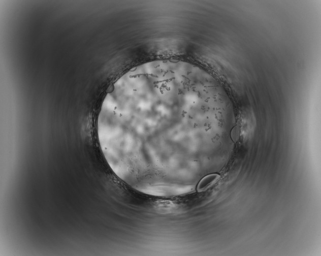 X0000093470519200711091610