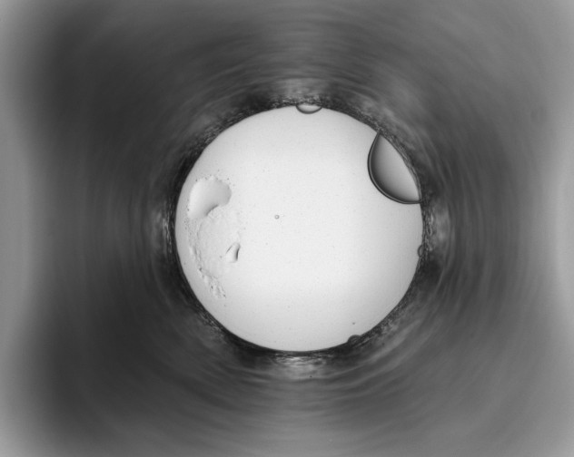 X0000093470522200711091610