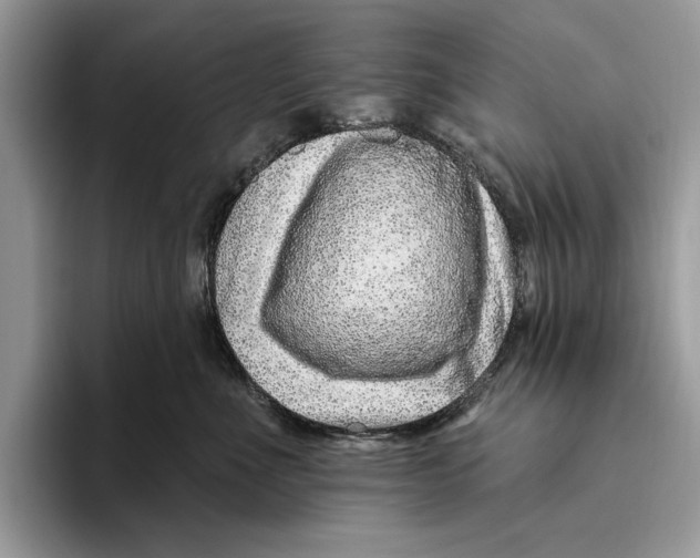 X0000093470523200711091610
