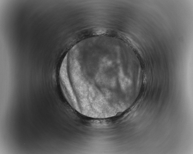 X0000093470524200711091610