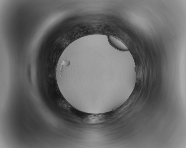 X0000093470526200711091610