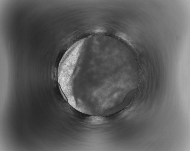 X0000093470528200711091610