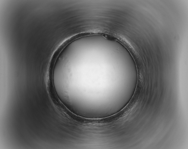 X0000093470532200711091609