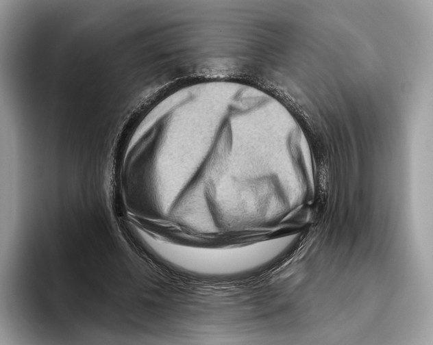 X0000093470540200711091610