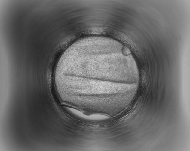 X0000093470542200711091610