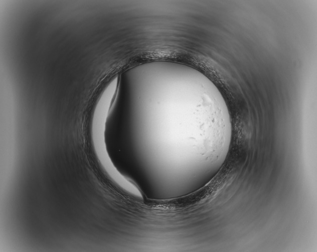 X0000093470546200711091610