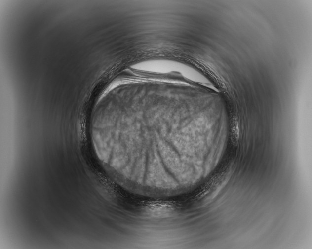 X0000093470547200711091610