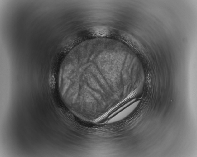 X0000093470551200711091610