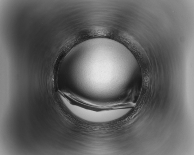 X0000093470552200711091610