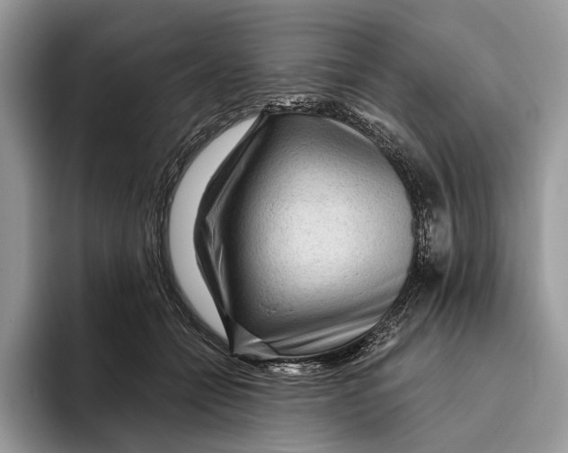 X0000093470558200711091610