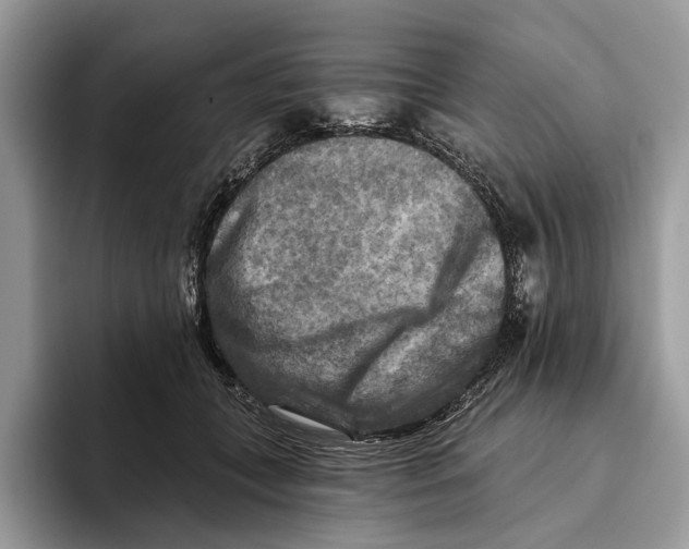X0000093470559200711091610