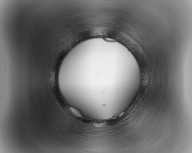 X0000093470560200711091610