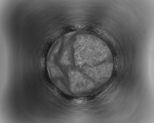 X0000093470563200711091610