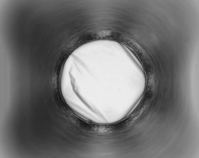 X0000093470565200711091610