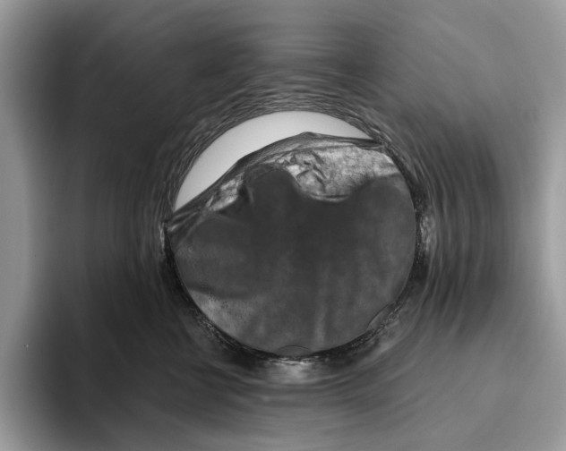 X0000093470570200711091610