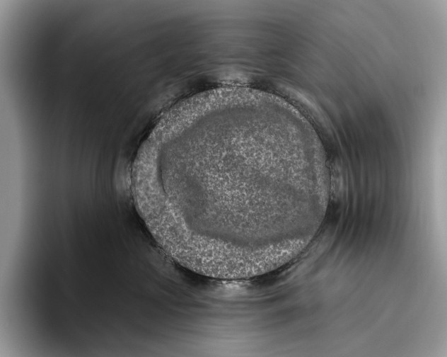 X0000093470573200711091610