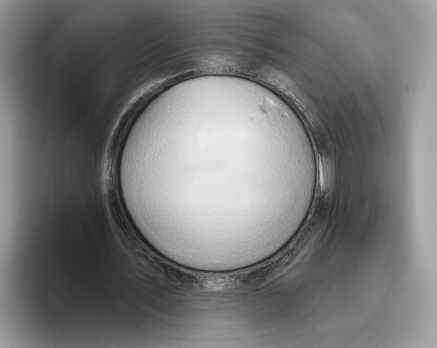 X0000093470579200711091609