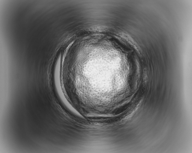 X0000093470585200711091609