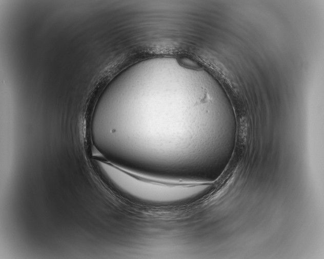 X0000093470589200711091609