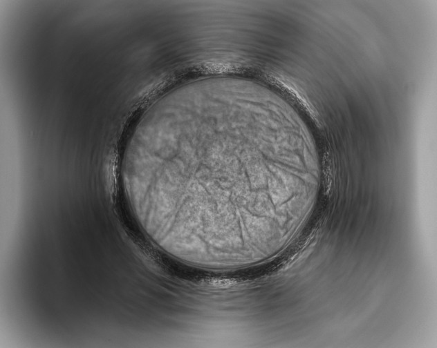 X0000093470590200711091609