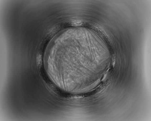 X0000093470598200711091609