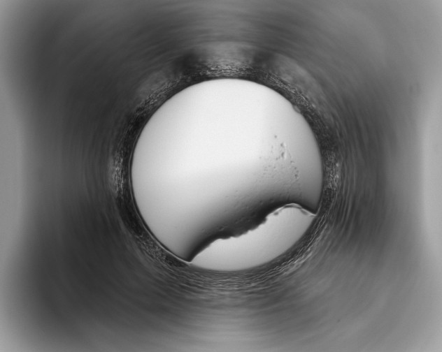 X0000093470599200711091609