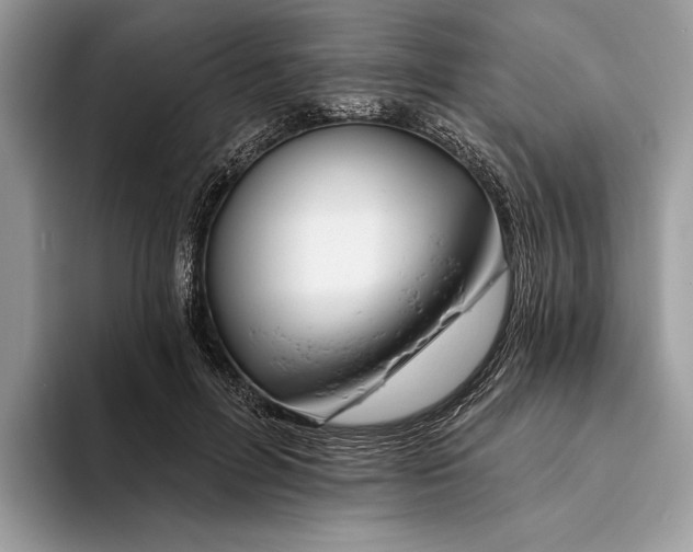 X0000093470600200711091609