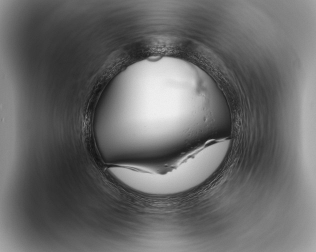 X0000093470601200711091609