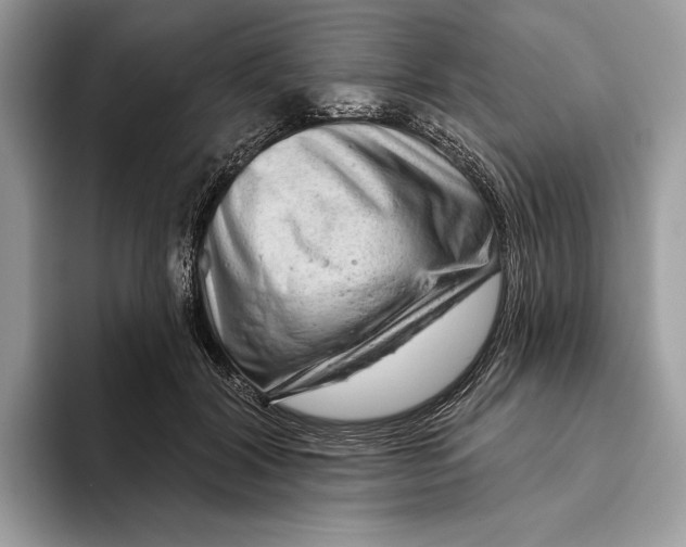 X0000093470604200711091609