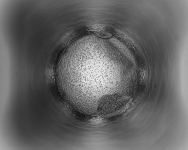 X0000093470609200711091609