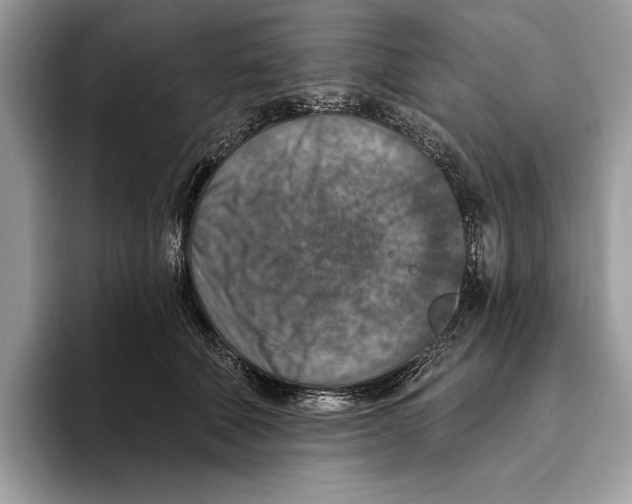 X0000093470610200711091609