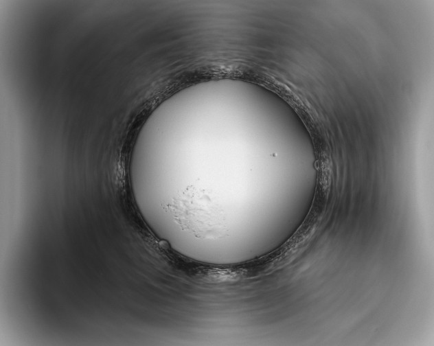 X0000093470613200711091609