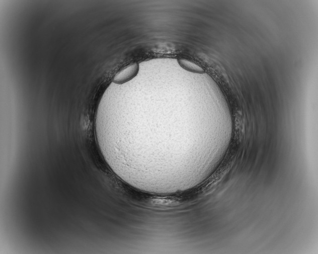 X0000093470614200711091609