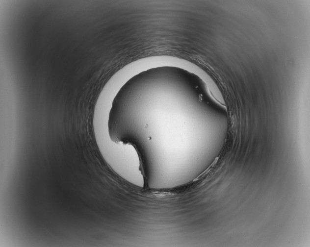 X0000093470617200711091609