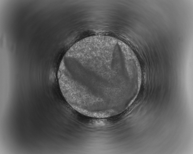 X0000093470618200711091609