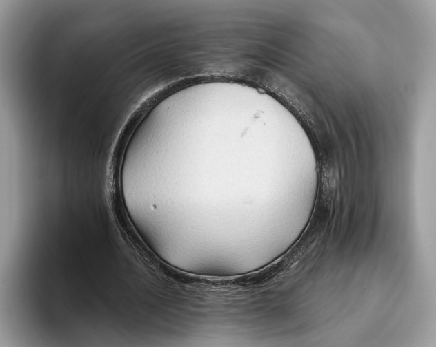 X0000093470628200711091608