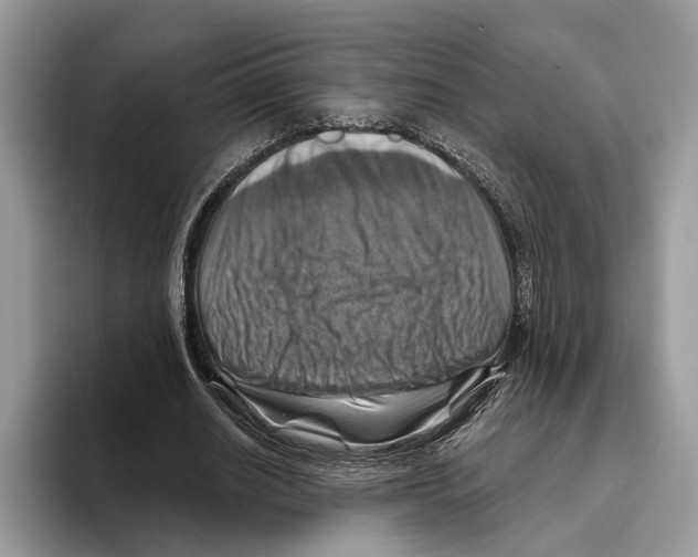 X0000093470630200711091608