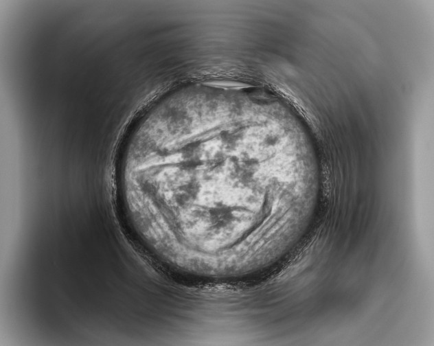 X0000093470634200711091608