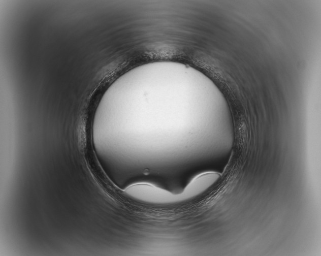 X0000093470638200711091608