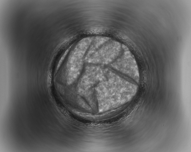 X0000093470640200711091608