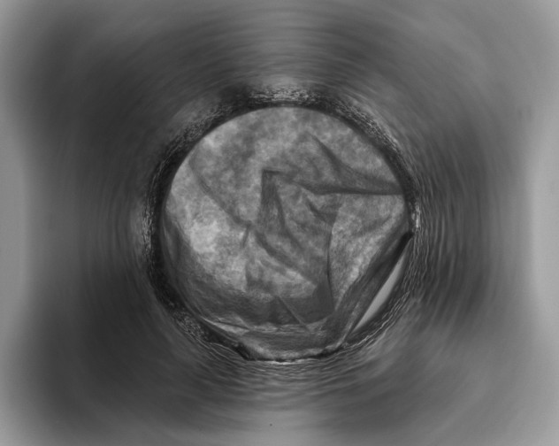 X0000093470643200711091608