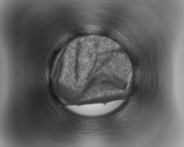 X0000093470644200711091608